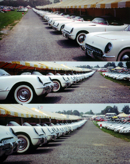 53 1953 Corvettes at Corvettes at Carlisle Never Before and Never Again