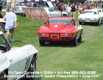 ProTeam Classic Corvette Sales